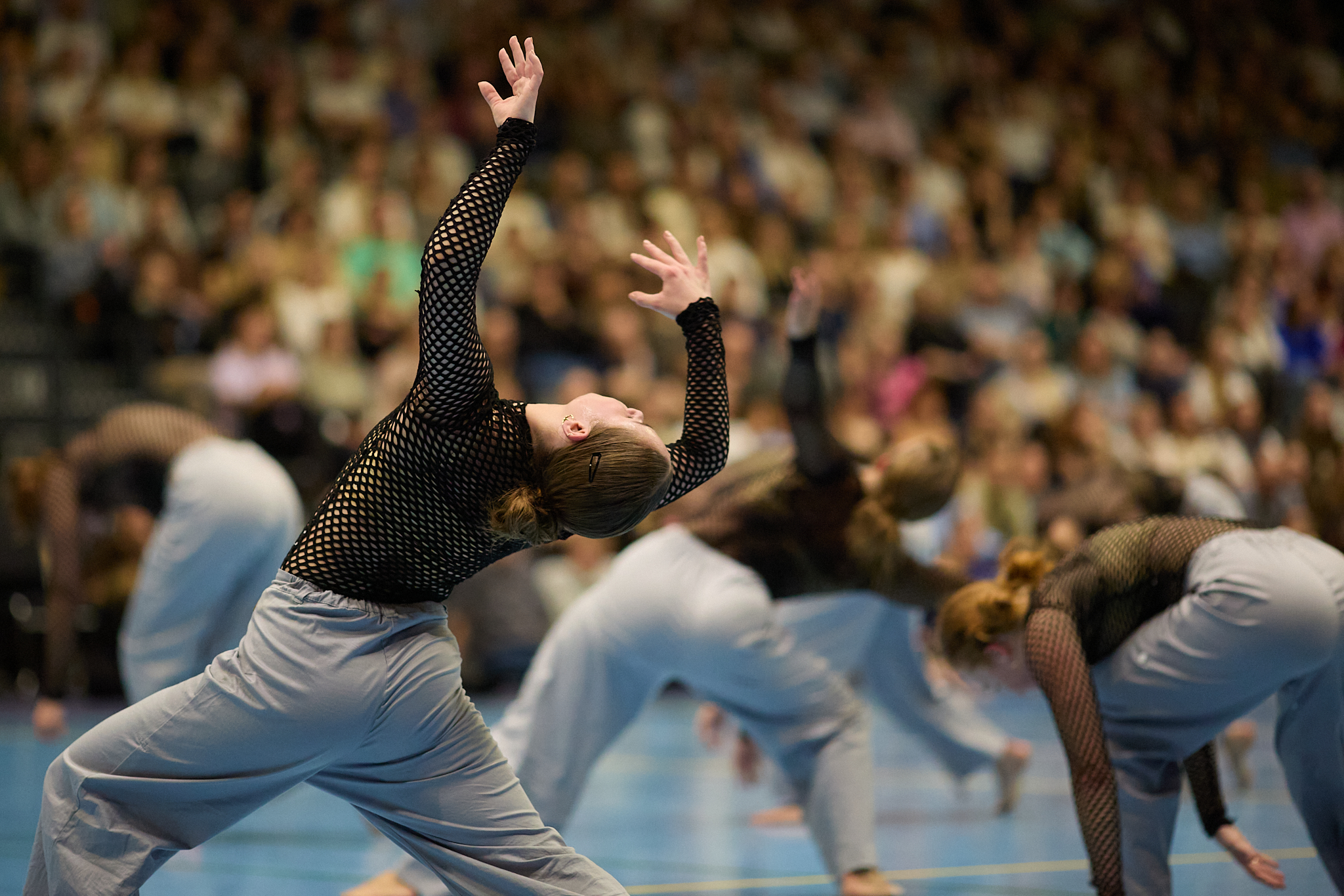 Aarhus rephold DGI Repstævne 2024