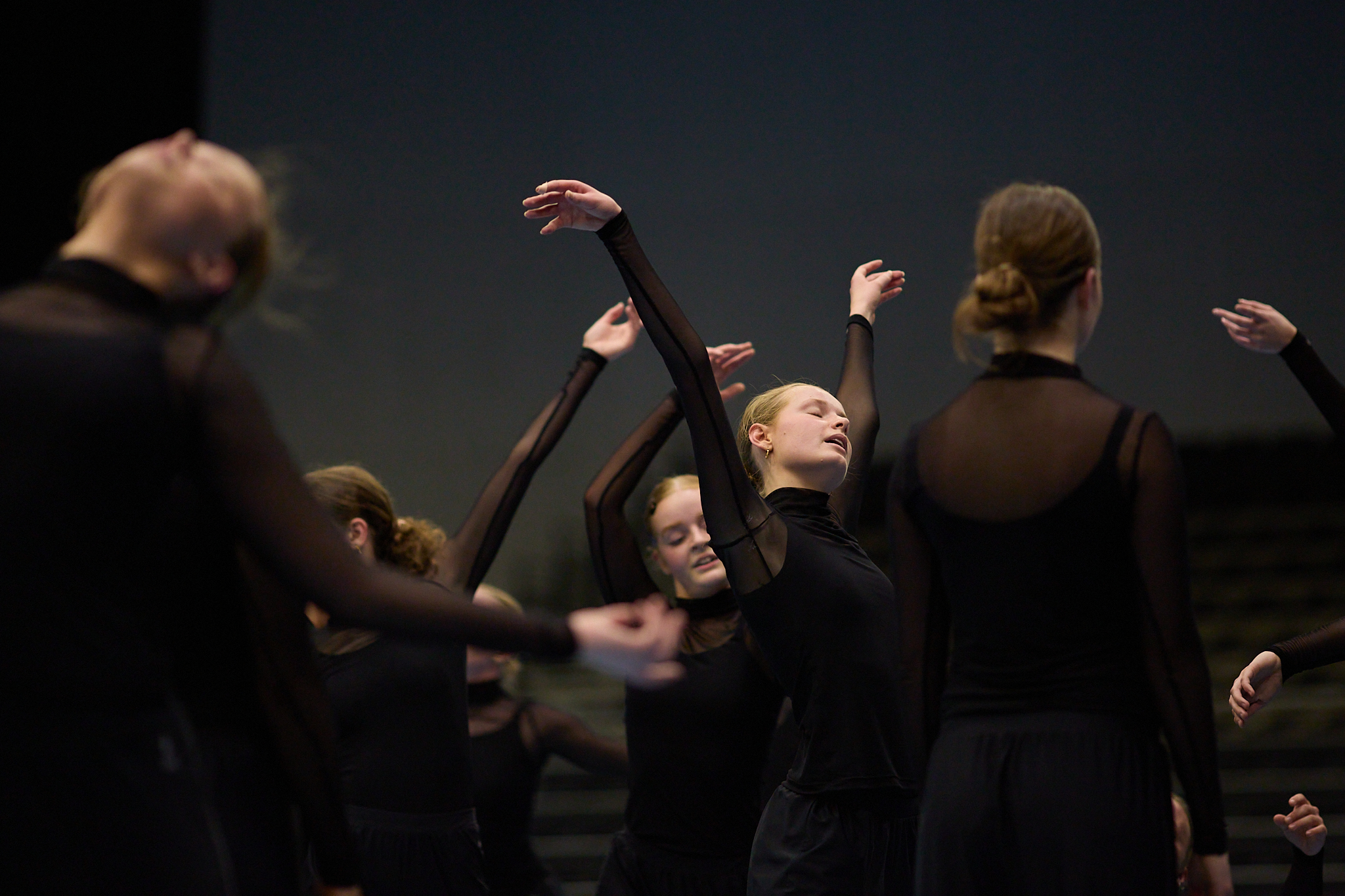 DGI Hammerum rephold 2024