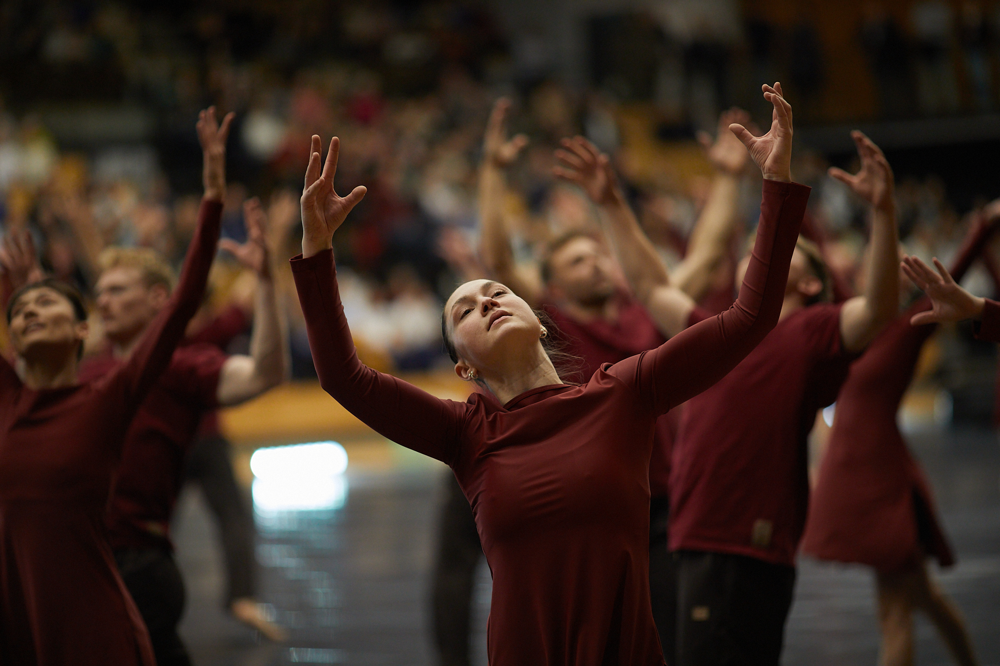 Ollerup Elitehold 2024