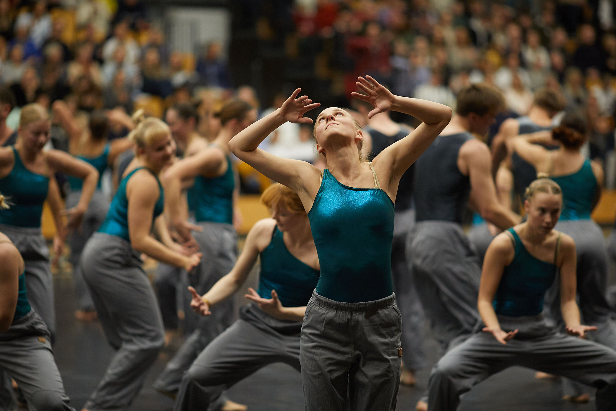 Ollerup Elitehold Vinteropvisning foto