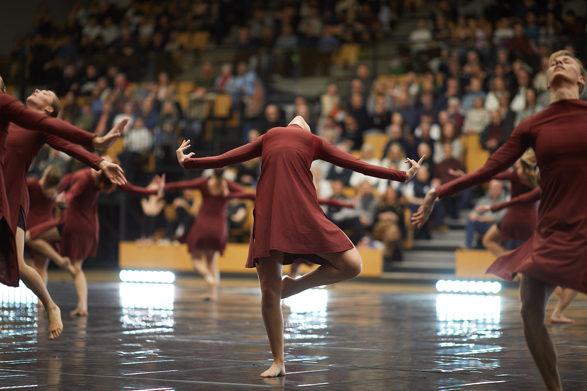 Vinteropvisning 2024 Ollerup Elite