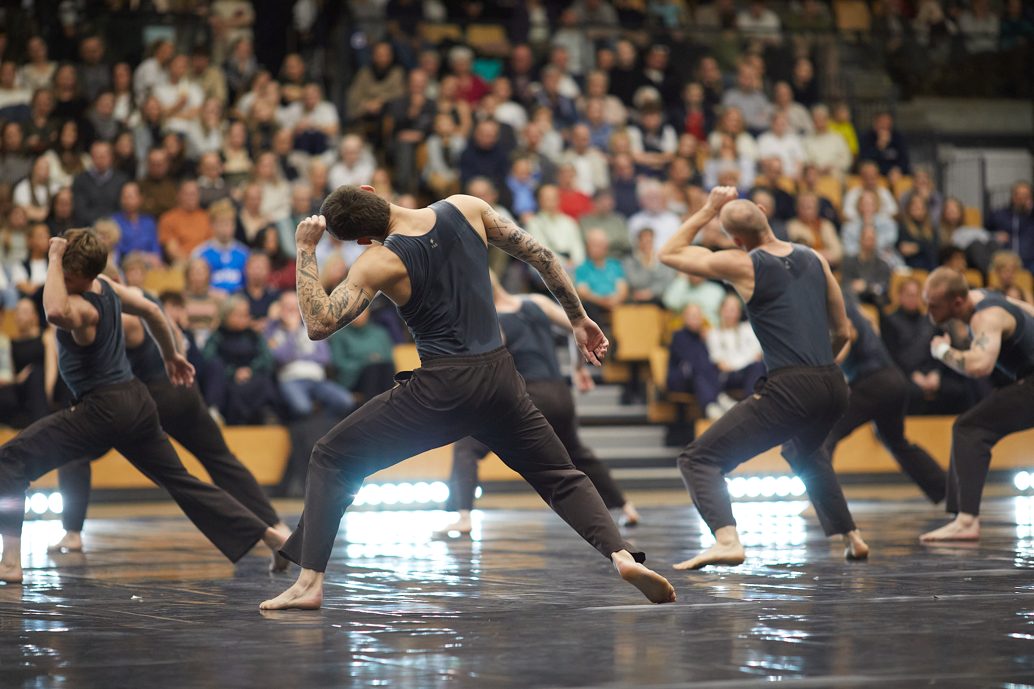 Vinteropvisning 2024 Ollerup Elitehold foto
