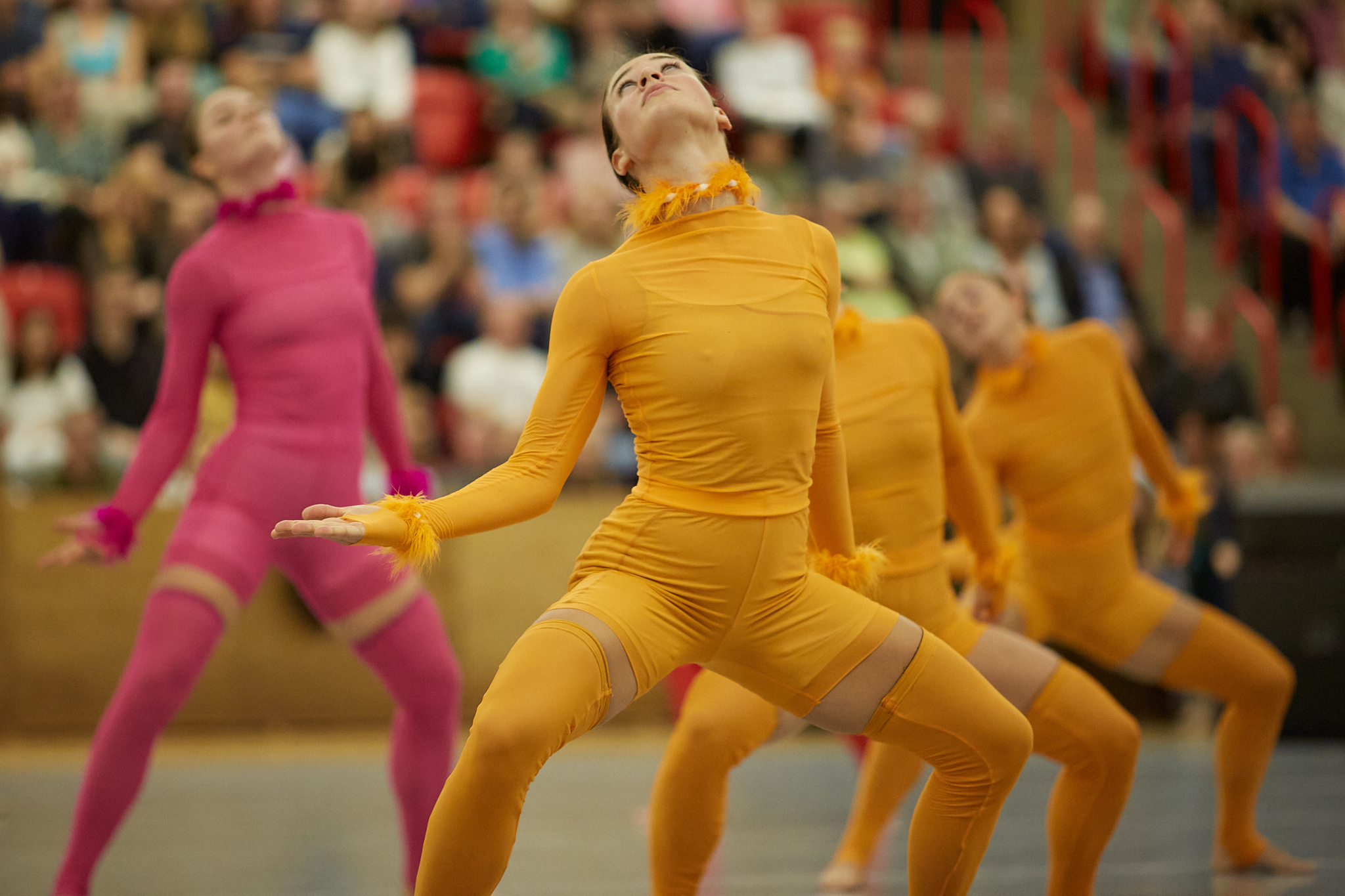 National Danish Performance Team show